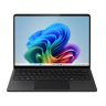 Laptops (2)